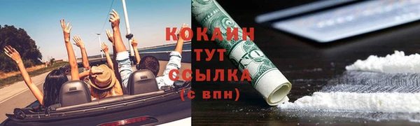СК Зеленокумск