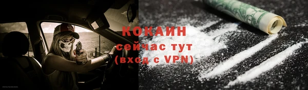 СК Зеленокумск